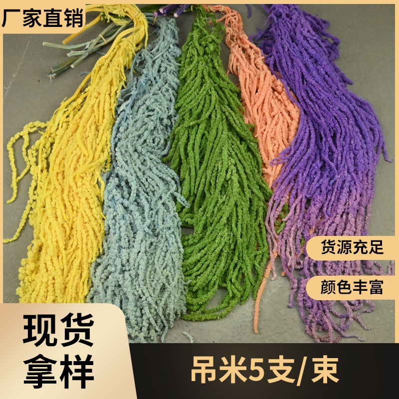 Flores fantasmas colgantes de arroz flor inmortal Juliet Amantes lágrimas colgantes de flores de decoración de bodas flores verdaderas