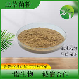 虫草菌粉 蝙蝠蛾拟青霉菌粉CS-4 现货1kg/袋包邮 发酵虫草菌丝粉