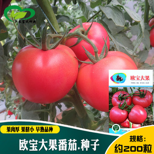 ���ѷN�� �r��ˈ@���������ɳ�|�ۼt�A�δ����t���߲���