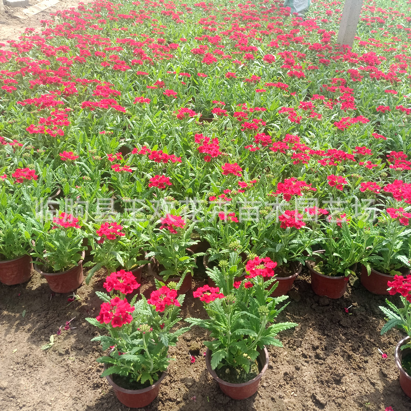 e00773a5-280e-41c3-8c71-6ea755