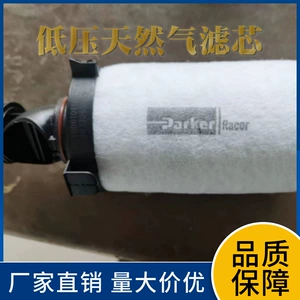 Guo Liu Weichai Low Pressure Natural Gas Gas Filter Element 1006101168