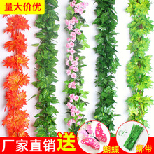 ����Gɫֲ�����ٗl�G�~�ҵ�ʽ�컨���bٻ������̨�ړ�ˮ�ܵ�