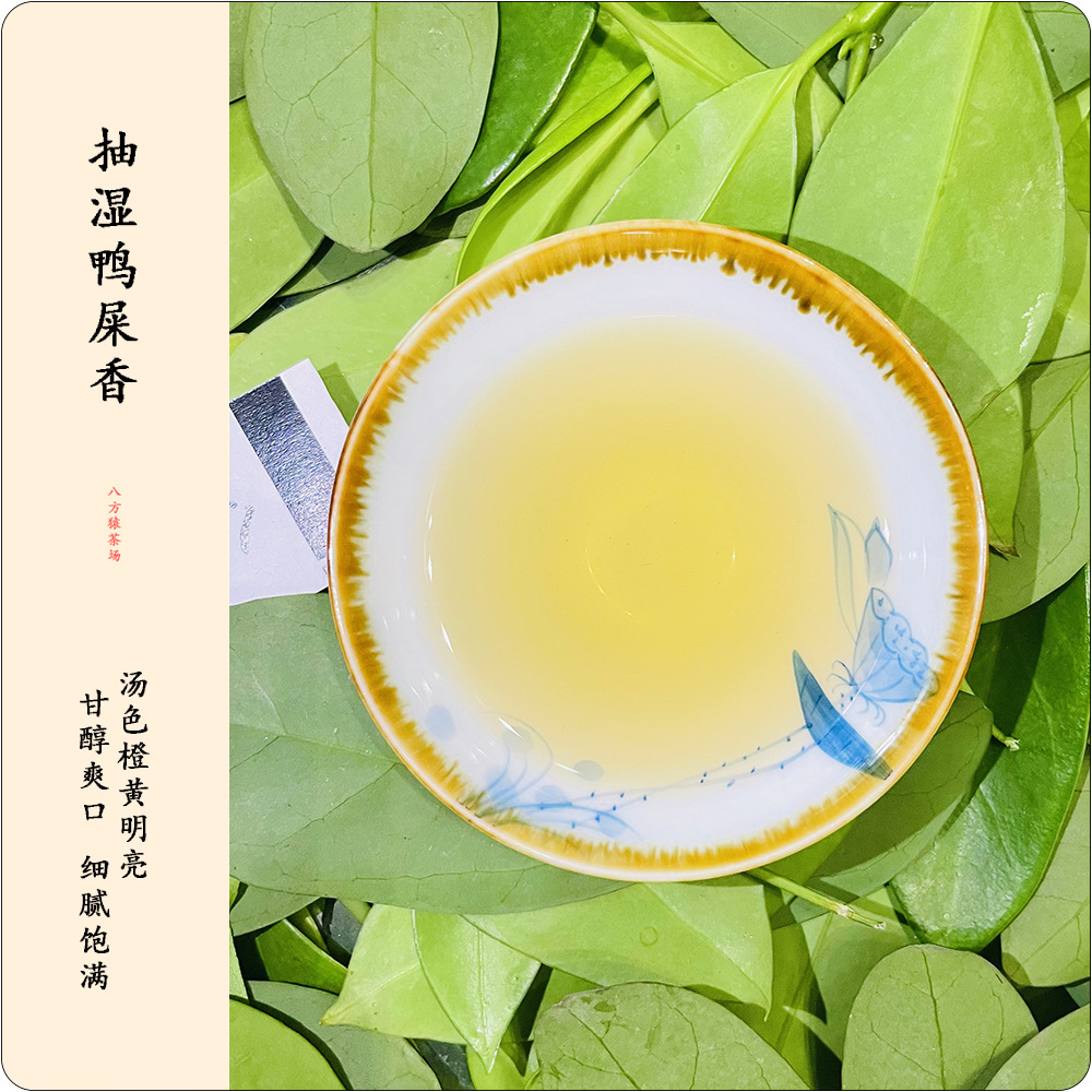【八猿茶場】頭椿春茶潮州凍黑烏龍茶 鳳凰單叢茶抽濕香鴨屎香