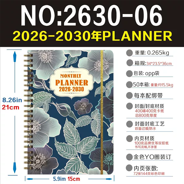 06--5 years--2026-2030 plan