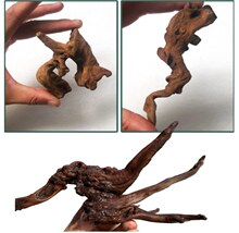 ��ľ����ľ���N���~���쾰�ľ�з�廨��������΢���^����U����ľ