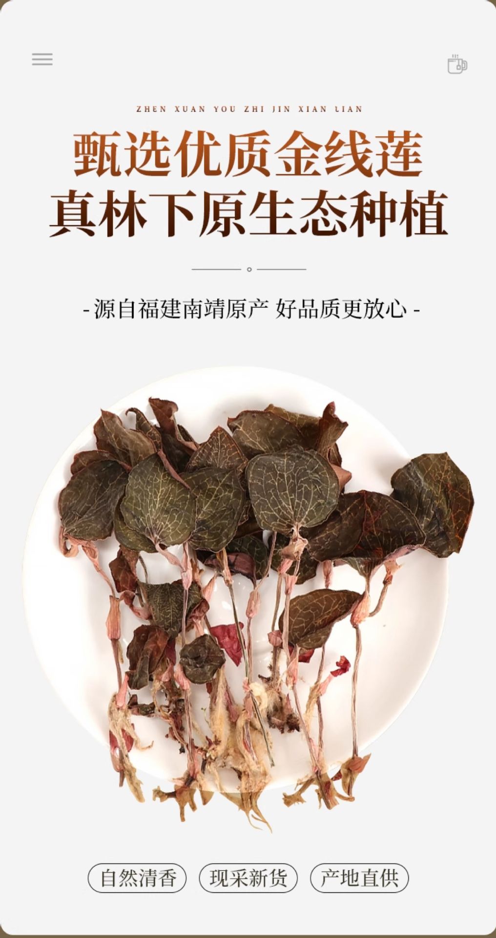 Anoectochilus Dried Whole Plant Tea 250g Fujian Jinxianlian Gift Box overview