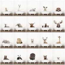 GATYZTORY��������4050�޿����������ͻ�diy����羰����װ���ͻ�