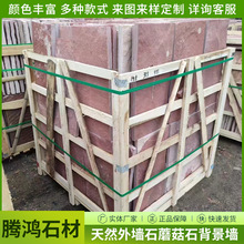 e⠝ɒȻۼtɫĻʯtĢʯɰĻu