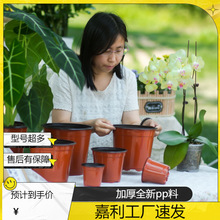 跨境批发各规格PP嘉利双色育苗软花盆塑料花盆园艺植物花盆零售