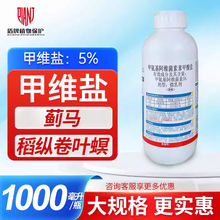 �׾S�}5%�װ������S���ر������}�d�ؑ𾯵��v���~���rș���x��