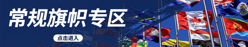 常规旗帜专区.jpg