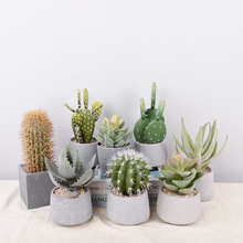 �͹ŷ������������� ˮ���k����С�辰���l �b���ֲ��������