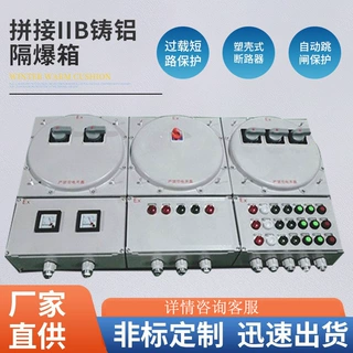 河南厂家加工拼接IIB铸铝隔爆箱 IIB隔爆型防爆配电箱 可定制拼接