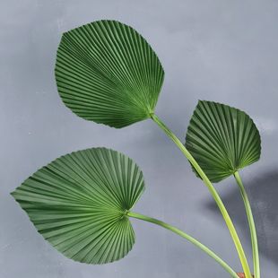 �߷��洺���~�^�����~�Gֲpu��֧�٘��~�廨�҃��b��T�ȿ��~