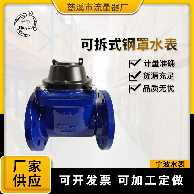 厂家供应 可拆式钢罩水表 DN-80E旋翼式水表冷水表批发