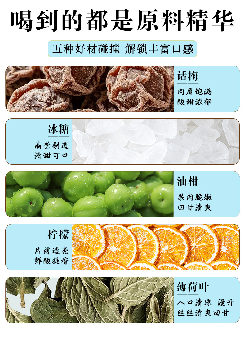 Preserved Plum & Phyllanthus Emblica Mint Tea — Freeze-Dried Fruit Herbal Blend with Lemon overview