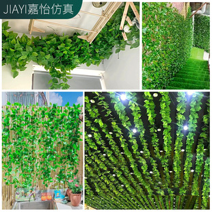 仿真藤条吊顶装饰藤条绿萝爬山虎塑料管道装扮仿真植物绿叶藤条