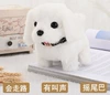White Maltese【Electric】◆