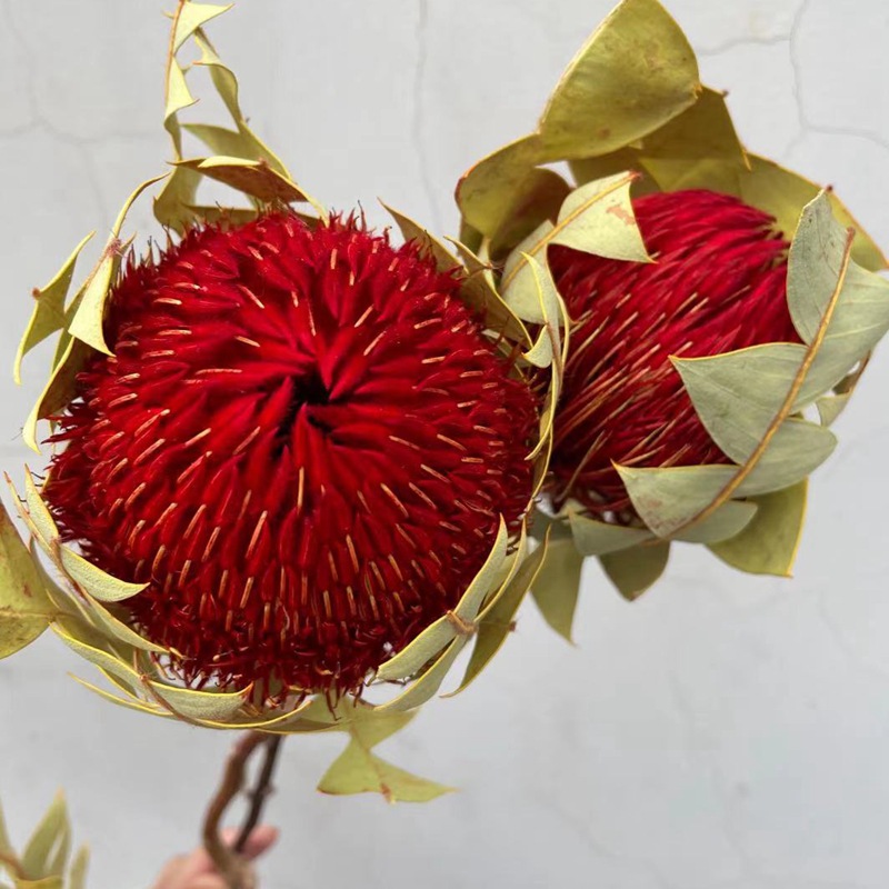 微信图片_20210321203327