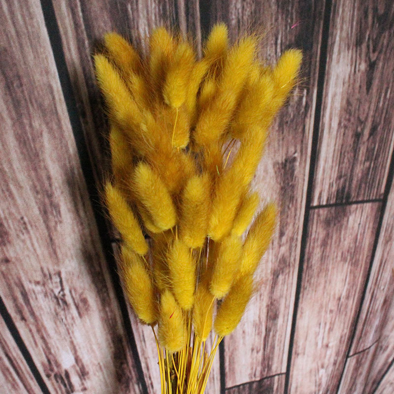 11831877801_511691582