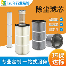 工业除尘滤芯 聚酯纤维除尘器除尘滤筒 钢铁冶炼厂耐高温除尘滤芯