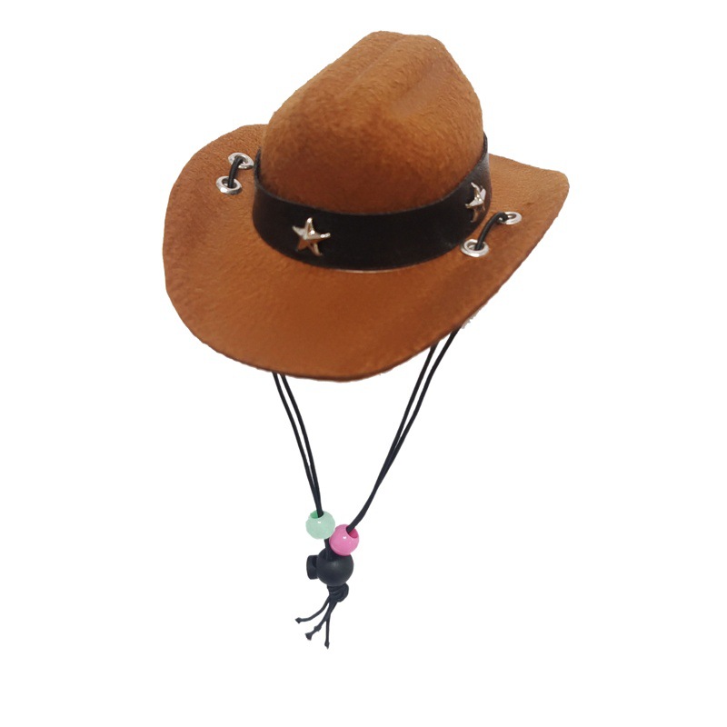 Amazon new cat hat cowboy pet hat mini hat puppy hat Western cowboy hat five-pointed star decoration
