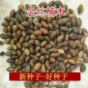 ���羳��؛�����ڽ�z�ľ�N���Ĵ�С�~骼��~��z骘E��h骽�z