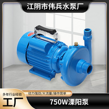 定制750w溧阳泵家庭用水增压泵厂家供应大流量铸铁单相微型清水泵