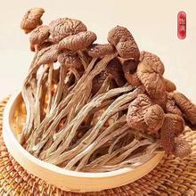 茶树菇20g蘑菇菇食用山珍菇南北干货煲汤炒菜食品批发