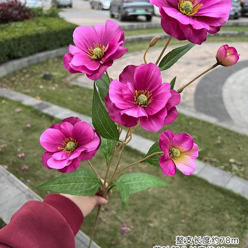 6-Cabeza de flor de mariposa rojo púrpura oscuro