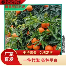 ���¼t���˸�����o���ָ̳����紺Ҋ���θ���ɰ���������۽ۘ���