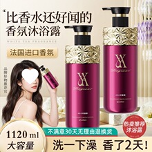 �ž�Ԋ�̽���ԡ¶������������w�������㱣������坍���̝�