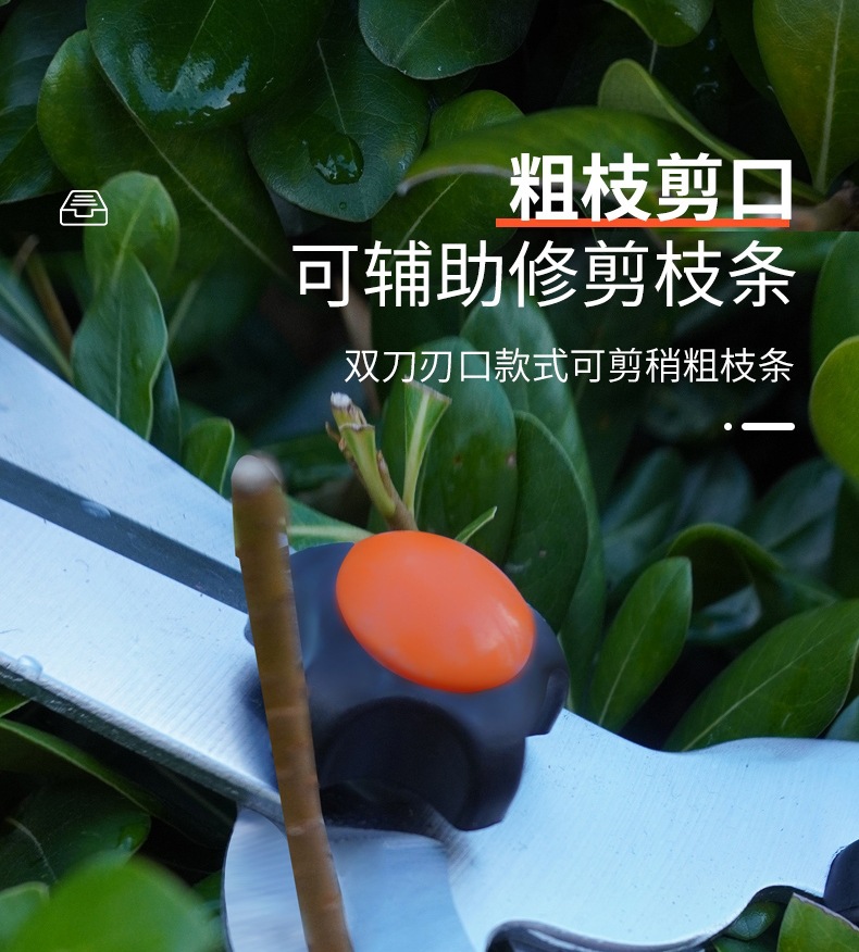 详情-5.jpg