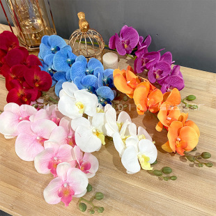 �p�ݚWʽ���滨�����m��֧�ɻ�ٻ��͏d�����[���m���羳؛Դ