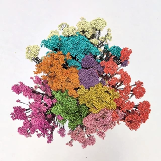 米花永生花云南干花花束手工艺品制作花材