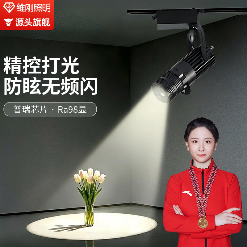 Adjustable focus COB spotlight, track LED spotlight, exhibition hall/museum focused spotlight