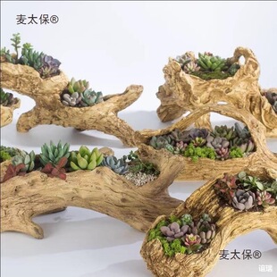 辰ℓ₀͵ľWtWͥԺ@b̫