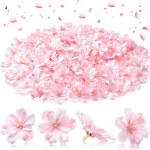 �S��ֱ�NײɫС����3��6�껨�����w�^��ϼҾӲ�ʿñ�b��m��