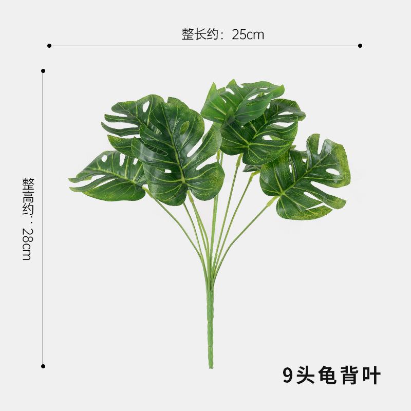 9 거북 등쪽 잎