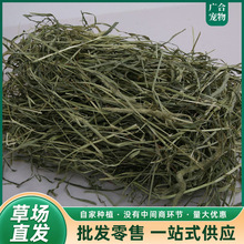 �����Ħ�������üZ�����������ĥ����؈�Zʳ������b��Ħ����