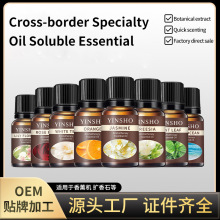 �羳��޹�C�����F����޹��������Ϟ�T�����Ծ��͔U��ľ���Q�S��