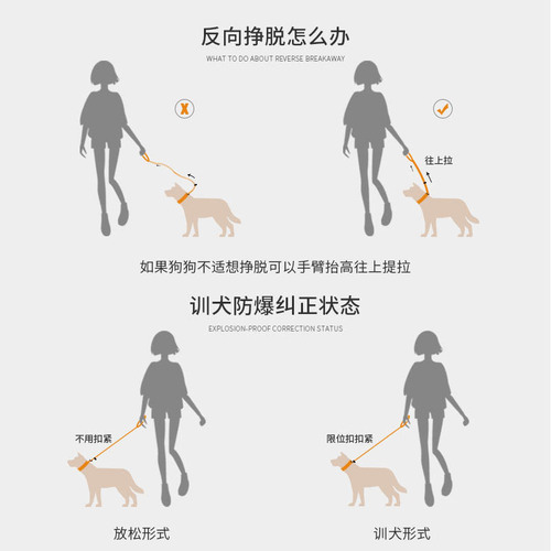 Traction rope dog chain dog rope pet P chain small dog medium dog large dog dog supplies 2 specifications