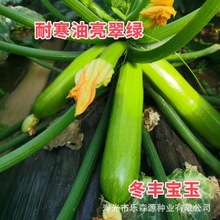 �������M�߮a����һ�������J�N�������l �ļ������J�N���r���߲�