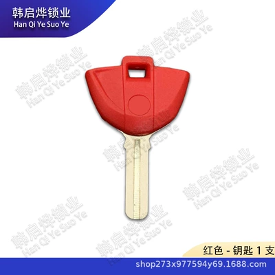 for Bmw Motorcycle: Motorcycle Key