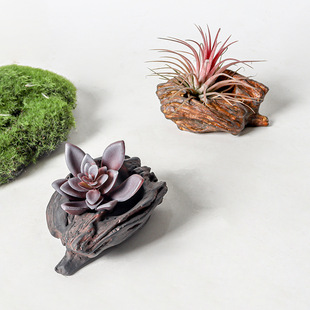 ����ˮ�ஐ�ͻ���՚��P��o������ֲ�����������҃ȃ����Gֲ�[��