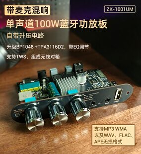 1001UM with karaoke microphone reverb mono 100W Bluetooth amplifier board TWS outdoor speaker TPA3116