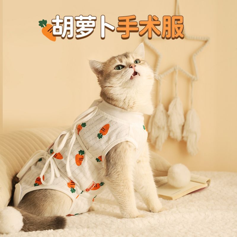 宠物猫猫咪绝育服母猫手术衣服夏季宠物防舔防掉毛秋季透气术后服