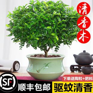 �����������ľ��ò�����ֲ�����҃Ȼ��ܾ������辰���B�����Gֲ