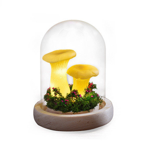 Manufacturer Direct Sale Simulation Mushroom Night Light Creative Everlasting Flower Glass Dome Gift Lighted Ornament Festival Gift