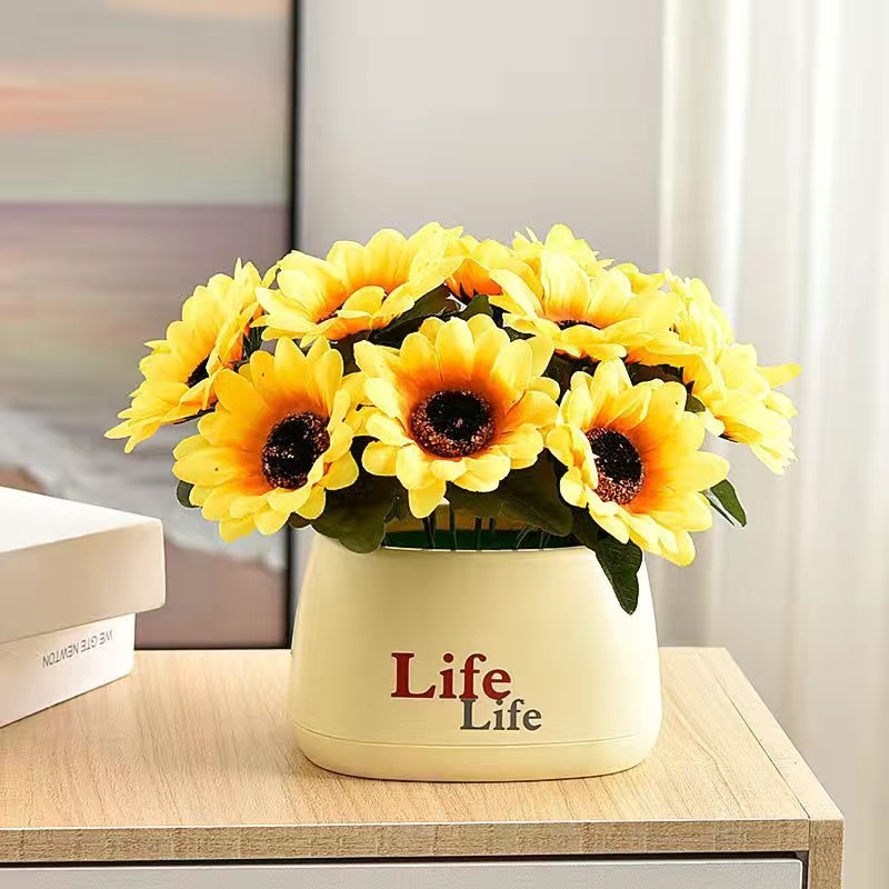 라이프 분지-해바라기